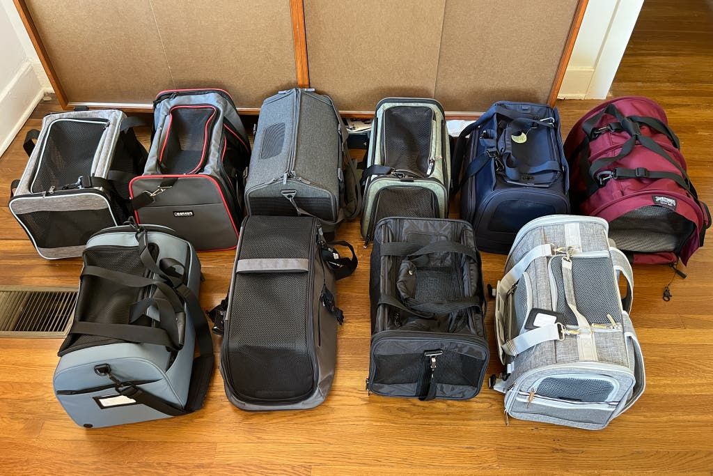 Essential Pet Travel Accessories for On-the-Go Owners